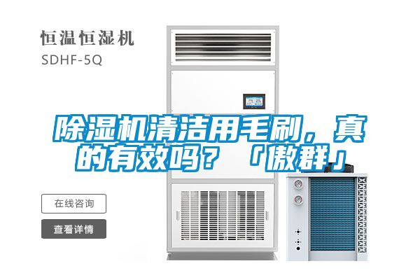 除濕機清潔用毛刷，真的有效嗎？「傲群」