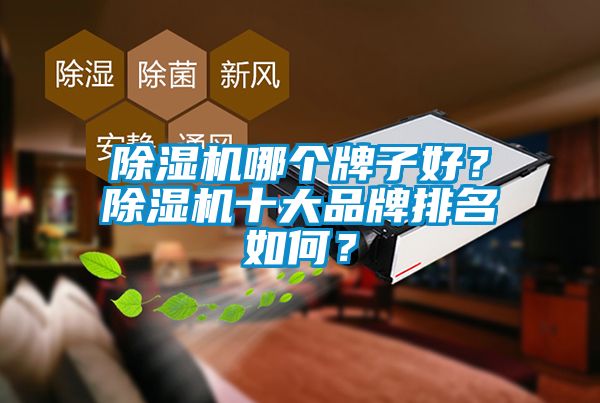除濕機(jī)哪個(gè)牌子好？除濕機(jī)十大品牌排名如何？