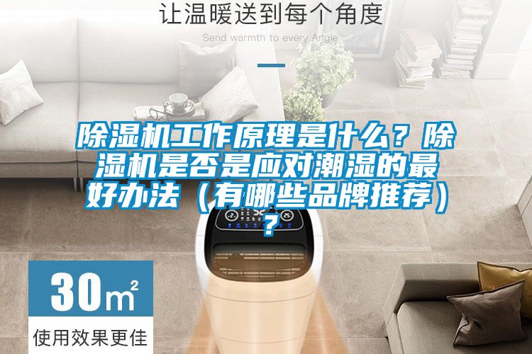 除濕機(jī)工作原理是什么？除濕機(jī)是否是應(yīng)對(duì)潮濕的最好辦法（有哪些品牌推薦）？