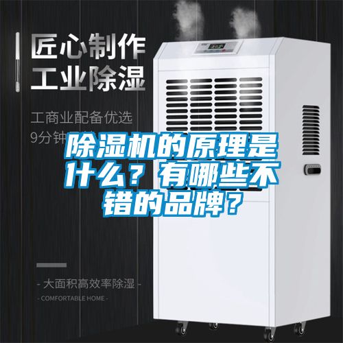 除濕機的原理是什么？有哪些不錯的品牌？
