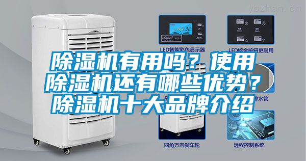 除濕機有用嗎？使用除濕機還有哪些優(yōu)勢？除濕機十大品牌介紹