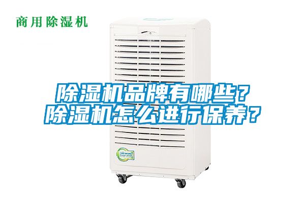 除濕機(jī)品牌有哪些？除濕機(jī)怎么進(jìn)行保養(yǎng)？