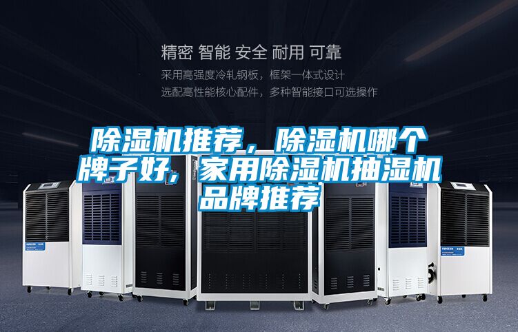 除濕機(jī)推薦，除濕機(jī)哪個牌子好, 家用除濕機(jī)抽濕機(jī)品牌推薦