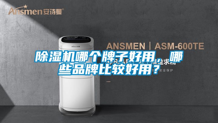 除濕機哪個牌子好用，哪些品牌比較好用？