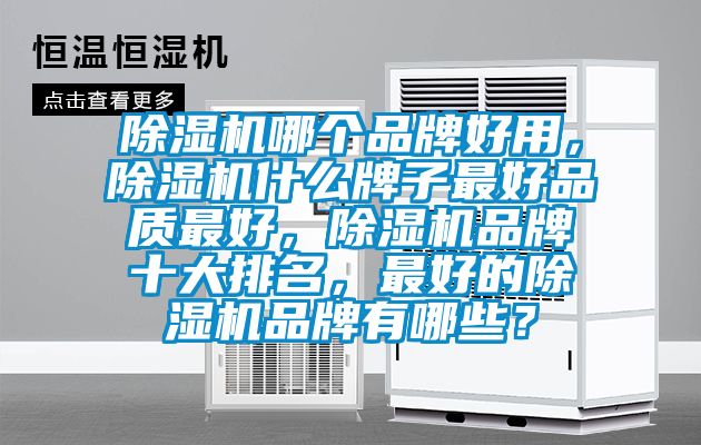 除濕機(jī)哪個(gè)品牌好用，除濕機(jī)什么牌子最好品質(zhì)最好，除濕機(jī)品牌十大排名，最好的除濕機(jī)品牌有哪些？