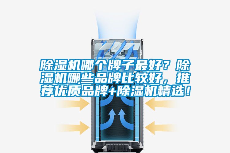 除濕機哪個牌子最好？除濕機哪些品牌比較好，推薦優(yōu)質(zhì)品牌+除濕機精選！