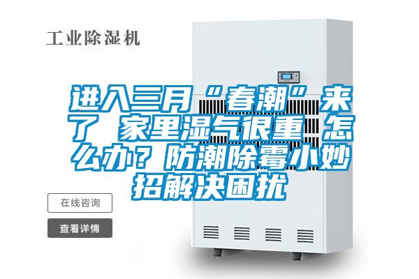 進(jìn)入三月“春潮”來(lái)了 家里濕氣很重 怎么辦？防潮除霉小妙招解決困擾