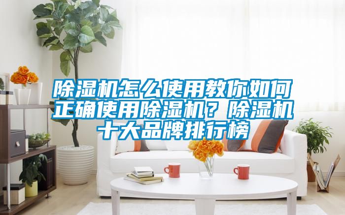 除濕機怎么使用教你如何正確使用除濕機？除濕機十大品牌排行榜