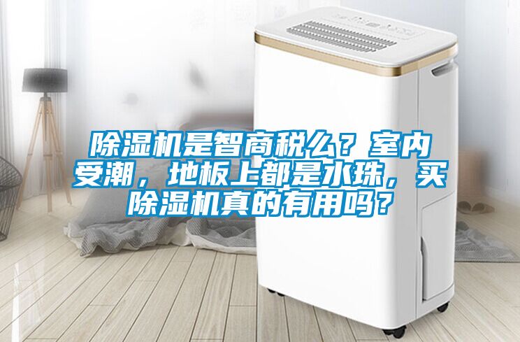 除濕機(jī)是智商稅么？室內(nèi)受潮，地板上都是水珠，買(mǎi)除濕機(jī)真的有用嗎？