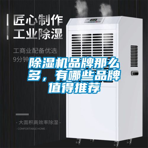 除濕機(jī)品牌那么多，有哪些品牌值得推薦