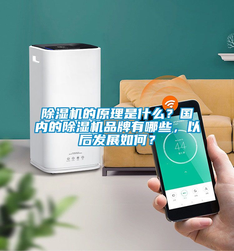 除濕機的原理是什么？國內的除濕機品牌有哪些，以后發(fā)展如何？