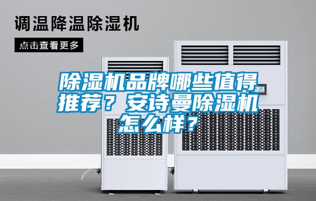 除濕機品牌哪些值得推薦？安詩曼除濕機怎么樣？