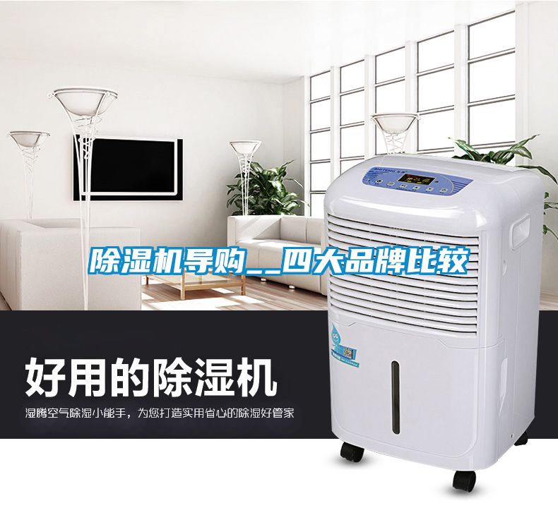 除濕機(jī)導(dǎo)購(gòu)__四大品牌比較