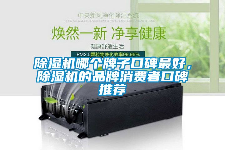 除濕機哪個牌子口碑最好，除濕機的品牌消費者口碑推薦