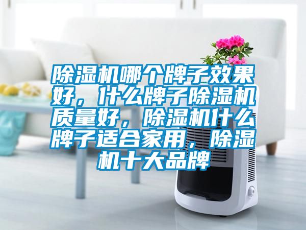 除濕機哪個牌子效果好，什么牌子除濕機質(zhì)量好，除濕機什么牌子適合家用，除濕機十大品牌