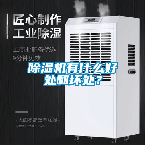 除濕機(jī)有什么好處和壞處？