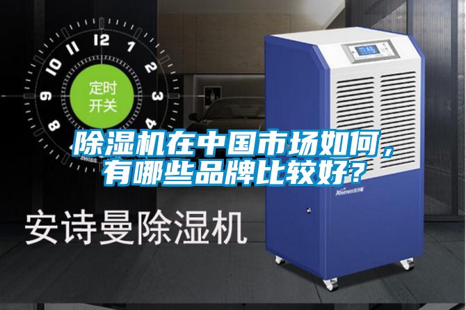 除濕機(jī)在中國市場如何，有哪些品牌比較好？