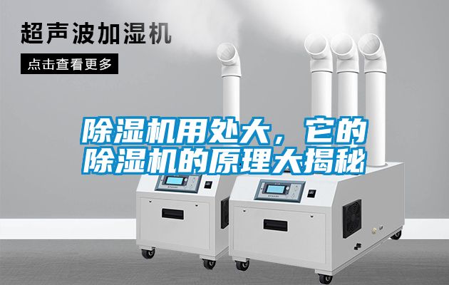 除濕機(jī)用處大，它的除濕機(jī)的原理大揭秘