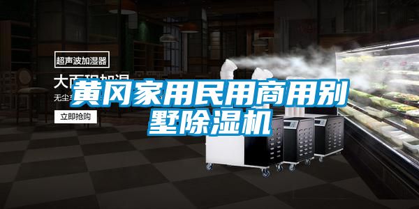 黃岡家用民用商用別墅除濕機(jī)