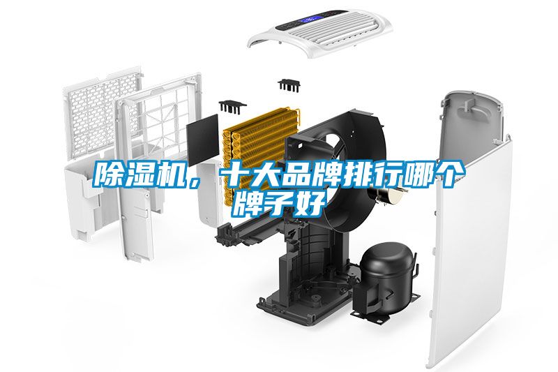 除濕機，十大品牌排行哪個牌子好