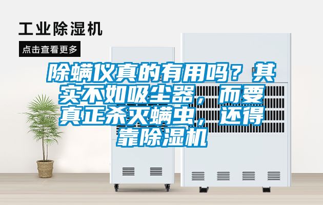 除螨儀真的有用嗎？其實不如吸塵器，而要真正殺滅螨蟲，還得靠除濕機