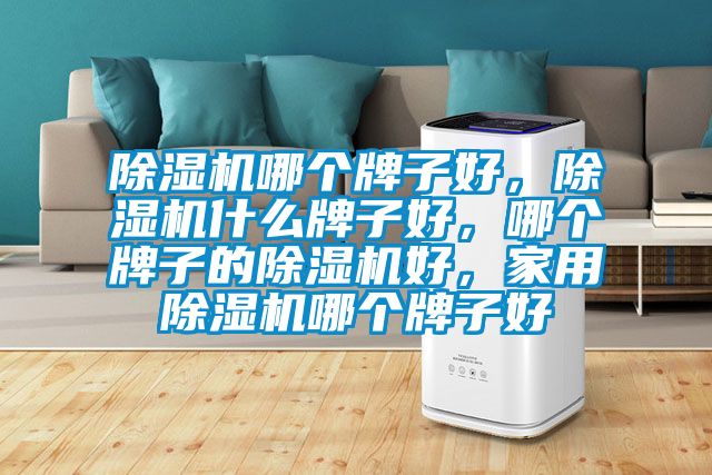 除濕機(jī)哪個牌子好，除濕機(jī)什么牌子好，哪個牌子的除濕機(jī)好，家用除濕機(jī)哪個牌子好