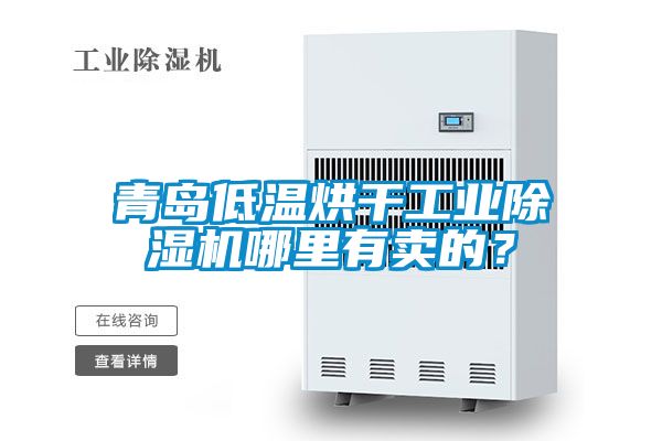 青島低溫烘干工業(yè)除濕機哪里有賣的？