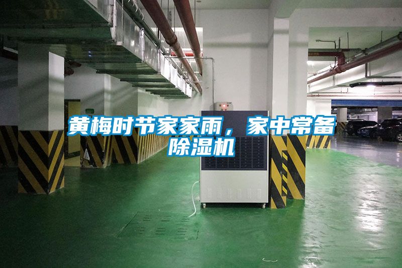黃梅時節(jié)家家雨，家中常備除濕機