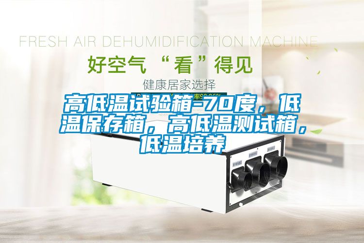 高低溫試驗(yàn)箱-70度，低溫保存箱，高低溫測(cè)試箱，低溫培養(yǎng)