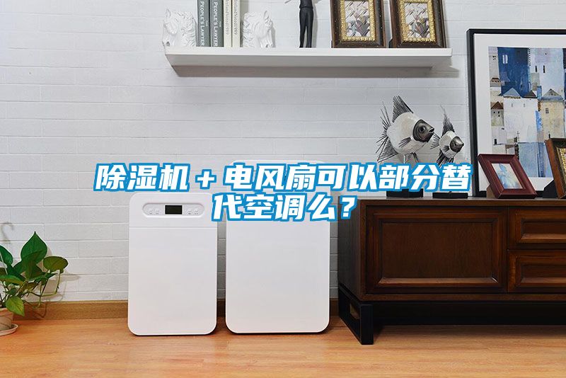 除濕機＋電風(fēng)扇可以部分替代空調(diào)么？