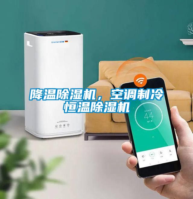 降溫除濕機(jī)，空調(diào)制冷恒溫除濕機(jī)