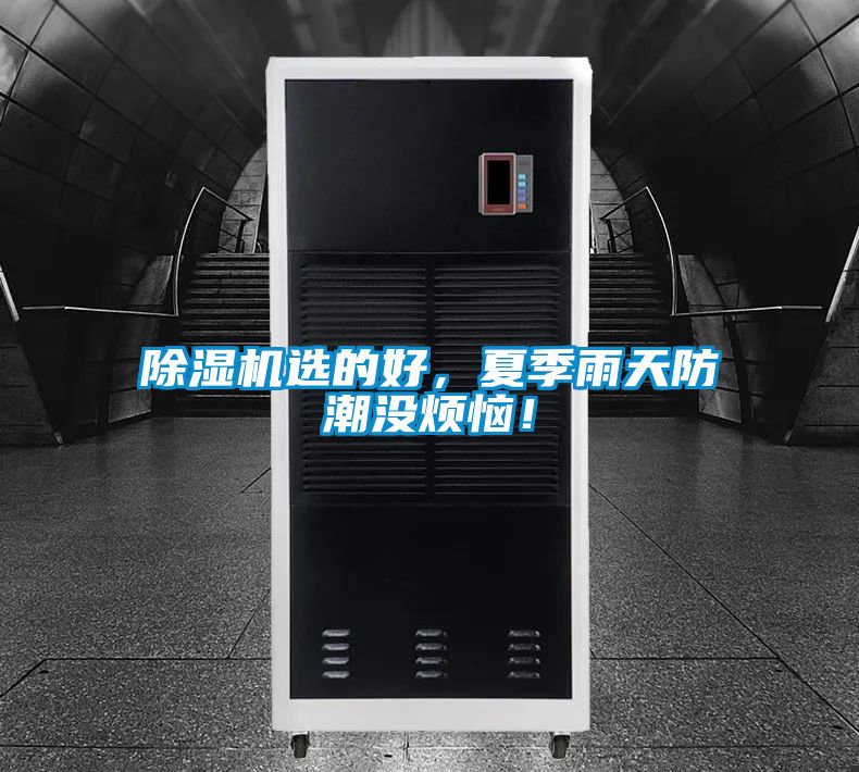 除濕機選的好，夏季雨天防潮沒煩惱！
