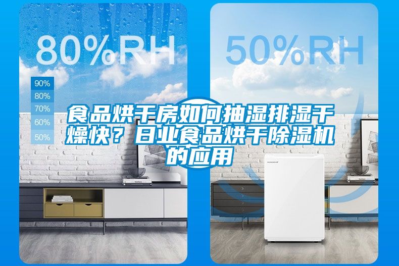 食品烘干房如何抽濕排濕干燥快？日業(yè)食品烘干除濕機(jī)的應(yīng)用