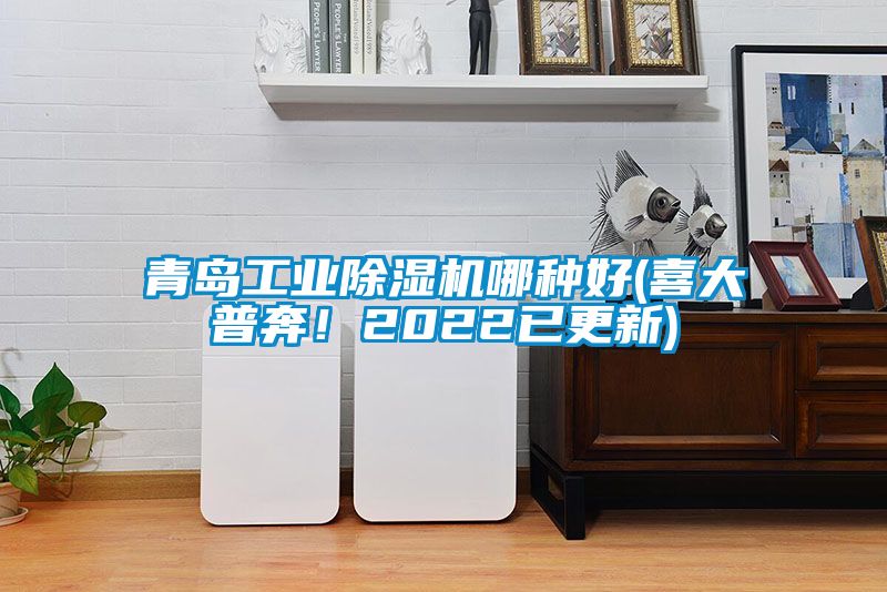 青島工業(yè)除濕機哪種好(喜大普奔！2022已更新)