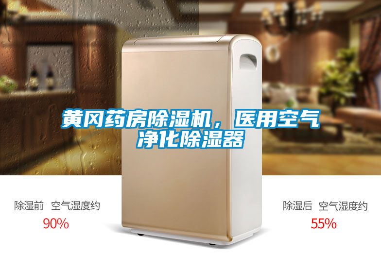 黃岡藥房除濕機，醫(yī)用空氣凈化除濕器
