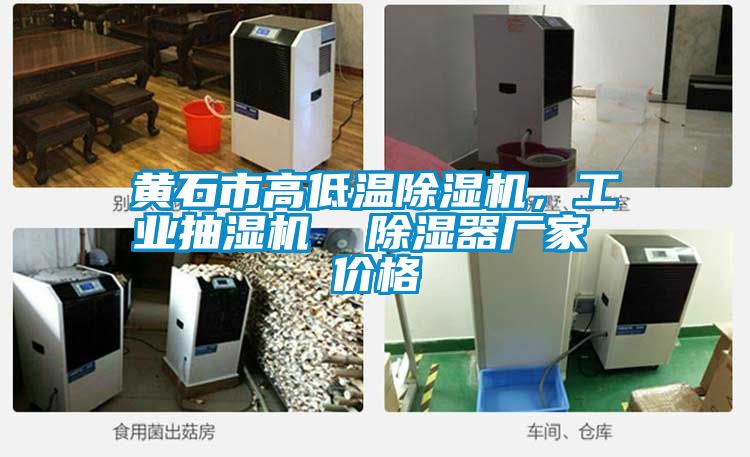 黃石市高低溫除濕機(jī)，工業(yè)抽濕機(jī)  除濕器廠家 價(jià)格