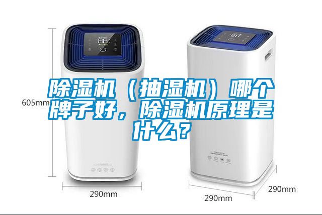 除濕機(jī)（抽濕機(jī)）哪個(gè)牌子好，除濕機(jī)原理是什么？