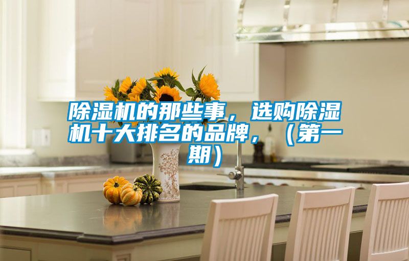 除濕機(jī)的那些事，選購除濕機(jī)十大排名的品牌，（第一期）