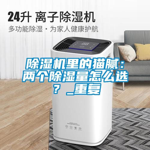 除濕機(jī)里的貓膩：兩個除濕量怎么選？_重復(fù)
