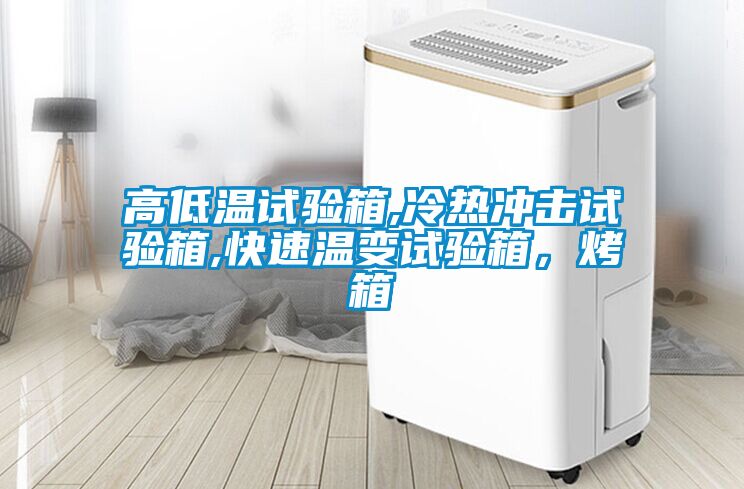 高低溫試驗(yàn)箱,冷熱沖擊試驗(yàn)箱,快速溫變?cè)囼?yàn)箱，烤箱