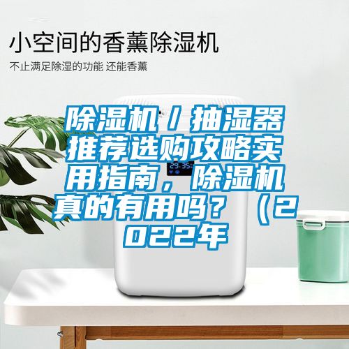 除濕機(jī)／抽濕器推薦選購(gòu)攻略實(shí)用指南，除濕機(jī)真的有用嗎？（2022年