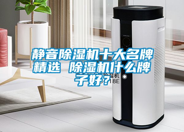 靜音除濕機(jī)十大名牌精選 除濕機(jī)什么牌子好？