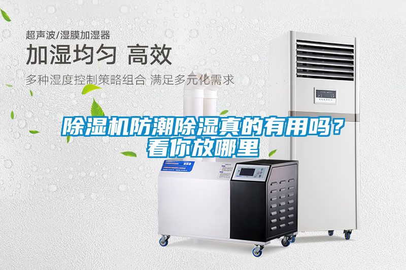 除濕機防潮除濕真的有用嗎？看你放哪里