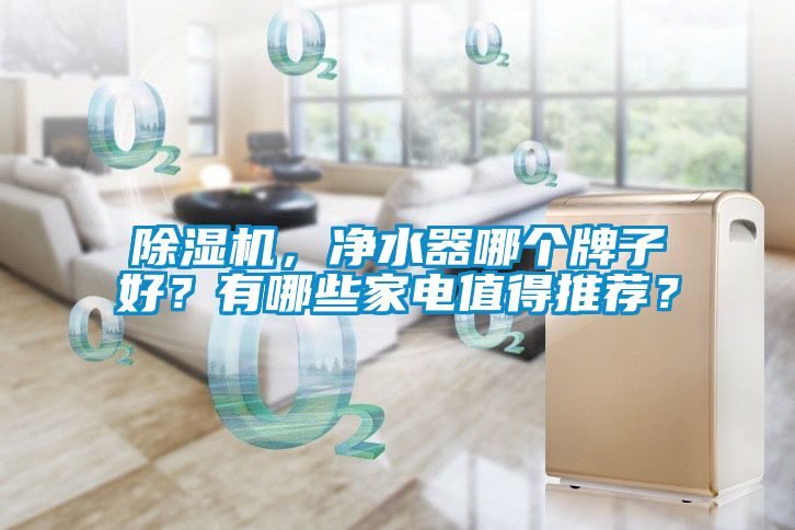 除濕機，凈水器哪個牌子好？有哪些家電值得推薦？