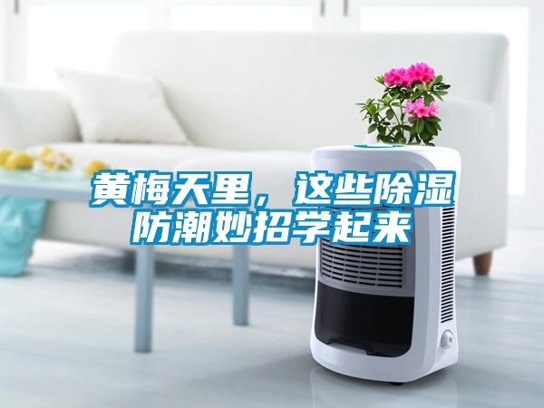 黃梅天里，這些除濕防潮妙招學(xué)起來(lái)