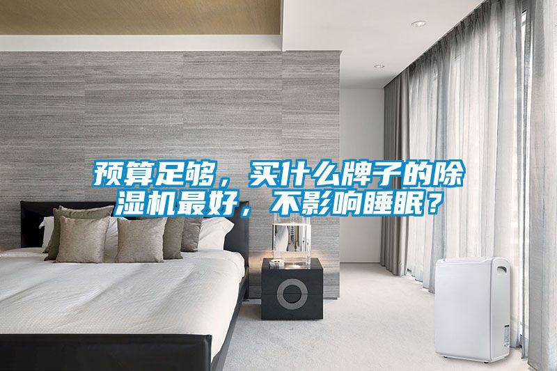 預算足夠，買什么牌子的除濕機最好，不影響睡眠？