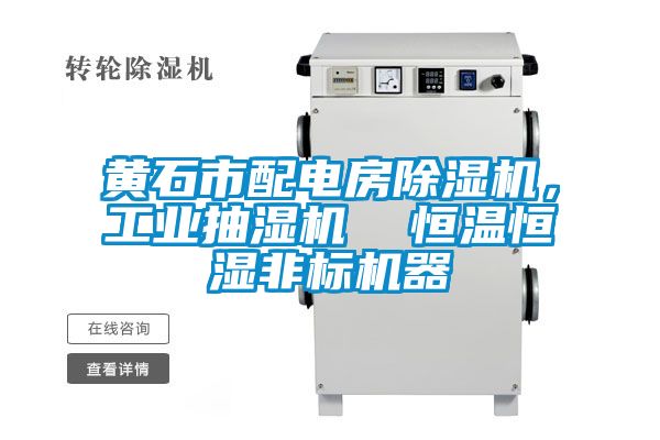 黃石市配電房除濕機(jī)，工業(yè)抽濕機(jī)  恒溫恒濕非標(biāo)機(jī)器
