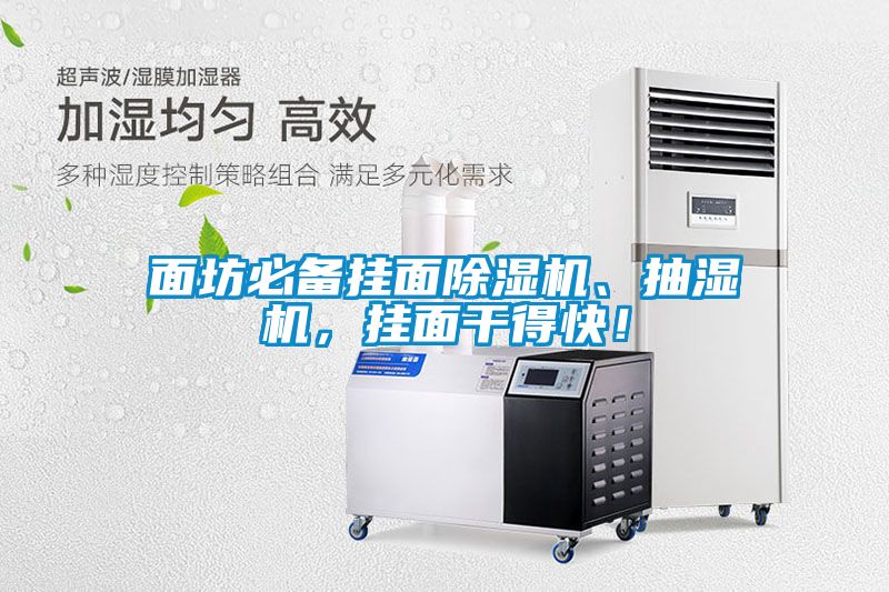面坊必備掛面除濕機(jī)、抽濕機(jī)，掛面干得快！