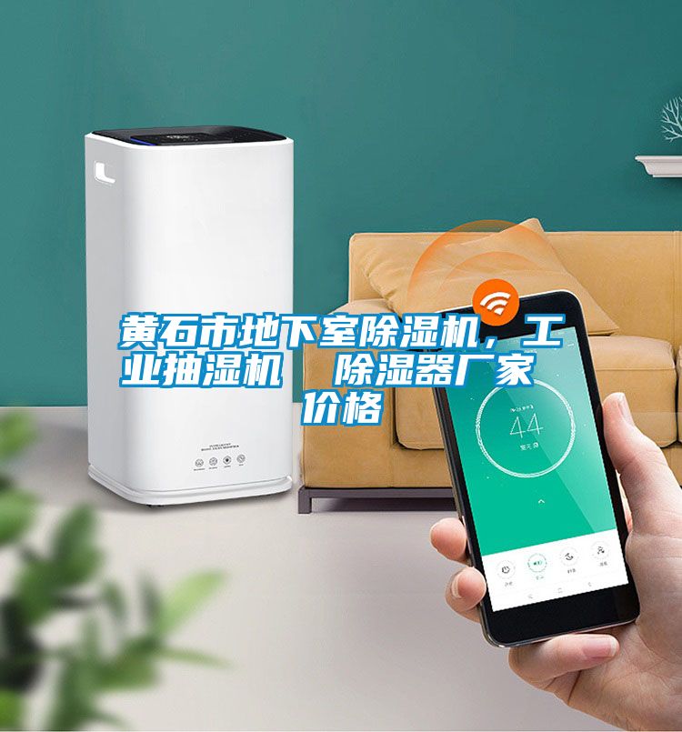 黃石市地下室除濕機(jī)，工業(yè)抽濕機(jī)  除濕器廠家 價格