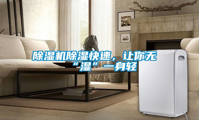 除濕機(jī)除濕快速，讓你無(wú)“濕”一身輕